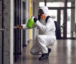 Kohler, WI Mold Removal Services Company